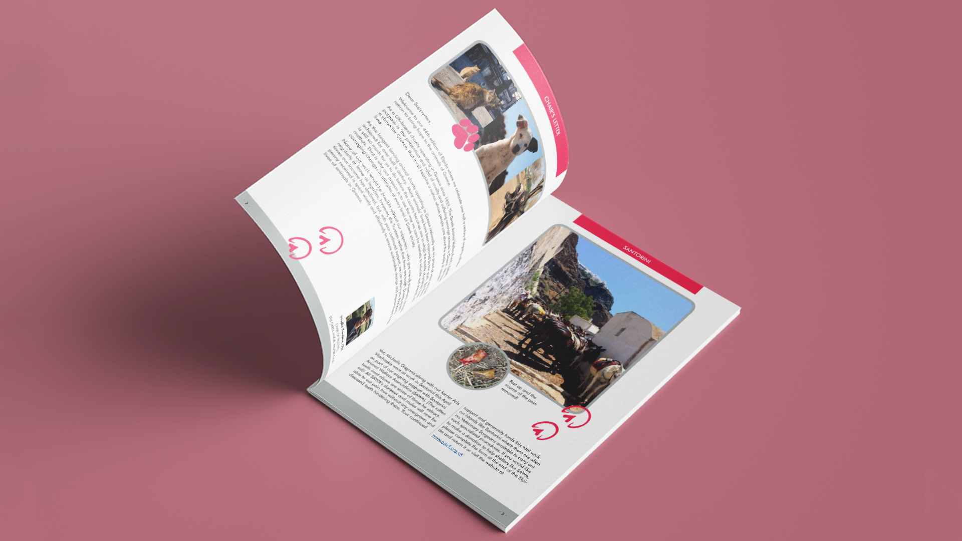 Animal Action brochure desing and offset print